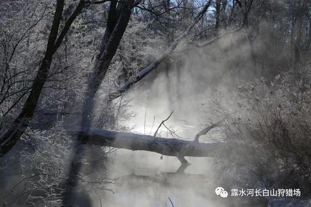 动漫《斗破苍穹》第二季女性人物设计终于改进了，怎样才能使斗迷们满意？