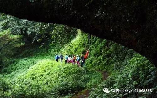 精灵女王的礼物