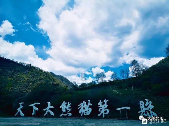 绿色猎人住宅逃生