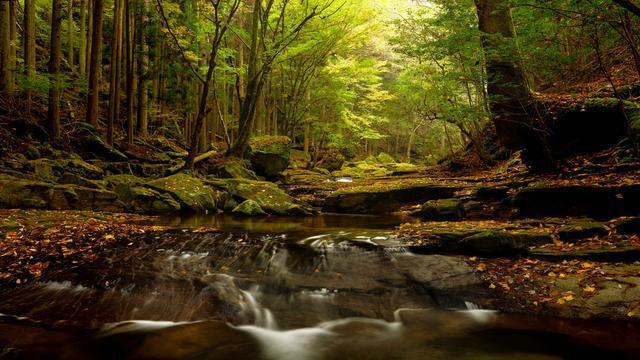 苹果狠起来自家人都打，苹果新款手机11对比X，差距明显游戏画面